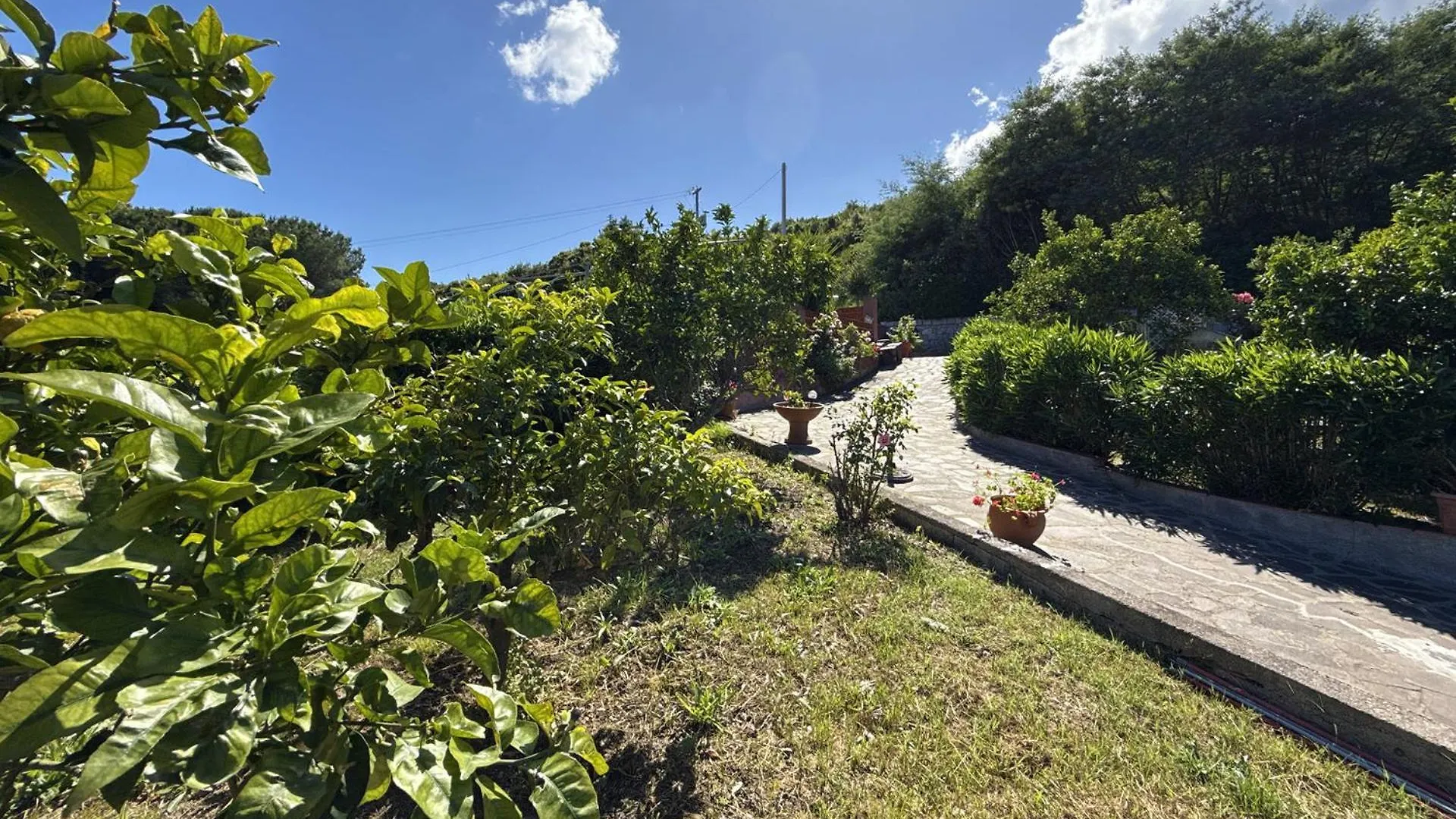 Appartamenti I Limoni - Argonautivacanze Marina di Campo 0*,